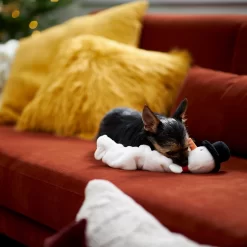 Frisco Holiday Snowman Bungee Plush Squeaky Dog Toy 9 Frisco Holiday Snowman Bungee Plush Squeaky Dog Toy -Frisco Shop 233221 PT3. AC SS1800 V1695648147