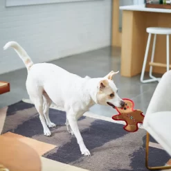Frisco Holiday Gingerbread Man Flat Plush Squeaky Dog Toy -Frisco Shop 233241 PT2. AC SS1800 V1601311903