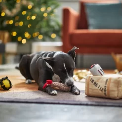 Frisco Holiday Fragile Box Hide & Seek Puzzle Plush Squeaky Dog Toy -Frisco Shop 233274 PT4. AC SS1800 V1665759767