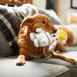 Frisco Ballistic Nylon Plush With Rope Squeaky Astronaut Dog Toy 5 Frisco Ballistic Nylon Plush With Rope Squeaky Astronaut Dog Toy -Frisco Shop 233585 PT3. AC SS1800 V1600973761