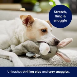 Frisco Bunny Bungee Plush Squeaky Dog Toy -Frisco Shop 233612 PT5. AC SS1800 V1691783971