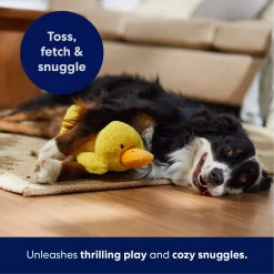 Frisco Duck Plush Squeaky Dog Toy 10 Frisco Duck Plush Squeaky Dog Toy -Frisco Shop 233613 PT4. AC SS1800 V1695670688