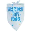 Frisco Birthday Boy Personalized Dog & Cat Bandana
