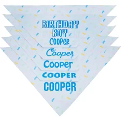 Frisco Birthday Boy Personalized Dog & Cat Bandana -Frisco Shop 238329 PT4. AC SS1800 V1618511578