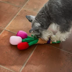 Frisco Valentine Rose Bouquet Plush Squeaky Dog Toy -Frisco Shop 241733 PT6. AC SS1800 V1607990908