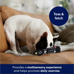 Frisco Zoomies & Chill Remote Latex Squeaky Dog Toy -Frisco Shop 241753 PT6. AC SS1800 V1686580150