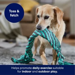Frisco Flat Teal & Gray Braided Rope Squeaky Fetch Dog Toy -Frisco Shop 242127 PT3. AC SS1800 V1695242179