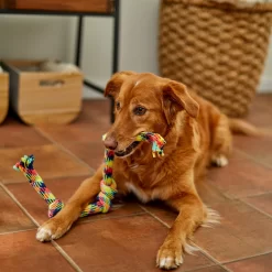 Frisco 4-Knot Tri-Color Rope Dog Toy -Frisco Shop 242139 PT2. AC SS1800 V1605208764