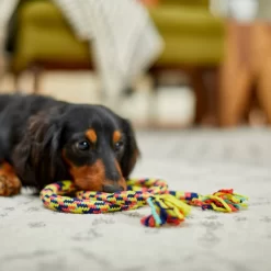 Frisco Pretzel Rope Dog Toy -Frisco Shop 242141 PT2. AC SS1800 V1605208795