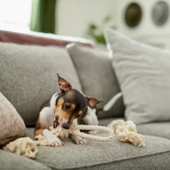 Frisco Double Knot Cotton Rope Fetch Dog Toy -Frisco Shop 242155 PT2. AC SS1800 V1605208728