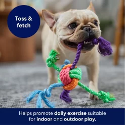 Frisco Fetch Colorful Ball Knot Rope Dog Toy -Frisco Shop 242159 PT3. AC SS1800 V1695242179