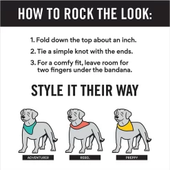 Frisco Hanukkah Personalized Dog & Cat Bandana -Frisco Shop 242799 PT2. AC SS1800 V1618509758