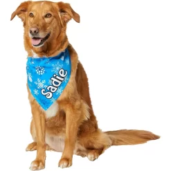 Frisco Blue Snowflakes Personalized Dog & Cat Bandana -Frisco Shop 242803 PT6. AC SS1800 V1618511278