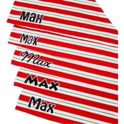 Frisco Peppermint Personalized Dog & Cat Bandana -Frisco Shop 242807 PT4. AC SS1800 V1618511553