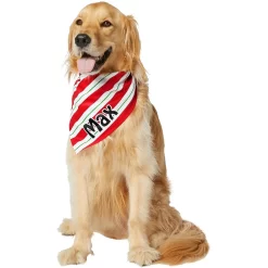 Frisco Peppermint Personalized Dog & Cat Bandana -Frisco Shop 242807 PT6. AC SS1800 V1618509454