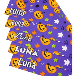 Frisco Halloween Pumpkins Personalized Dog & Cat Bandana -Frisco Shop 242815 PT4. AC SS1800 V1618511516