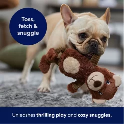 Frisco Bear Plush Squeaky Dog Toy -Frisco Shop 245924 PT4. AC SS1800 V1695760929