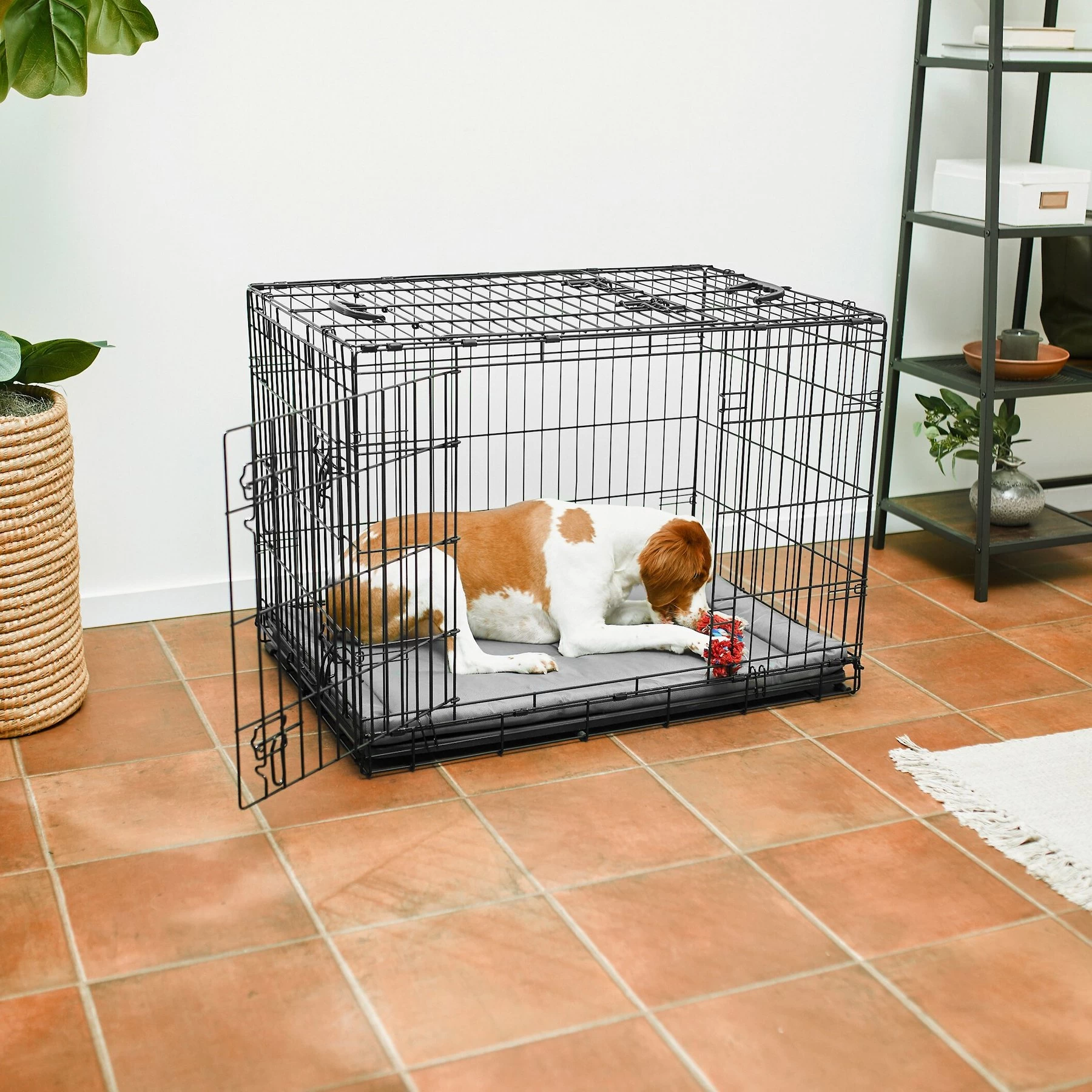 Frisco Heavy Duty All-in-1 Multi-Stage 3 Door Collapsible Wire Dog Crate 1 Frisco Heavy Duty All-in-1 Multi-Stage 3 Door Collapsible Wire Dog Crate