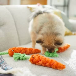 Frisco Easter Carrot Plush With Rope Dog Toy -Frisco Shop 248023 PT5. AC SS1800 V1608769360