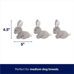 Frisco Spring Bunny Burrow Hide & Seek Plush Squeaky Dog Toy -Frisco Shop 248039 PT2. AC SS1800 V1700243718