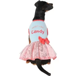 Frisco Sweet Like Candy Dog & Cat Dress -Frisco Shop 248666 PT2. AC SS1800 V1632421633