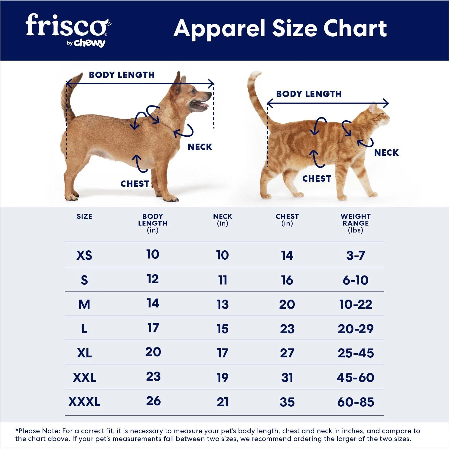 Frisco Boss Babe Dog & Cat Dress 2 Frisco Boss Babe Dog & Cat Dress - Image 2