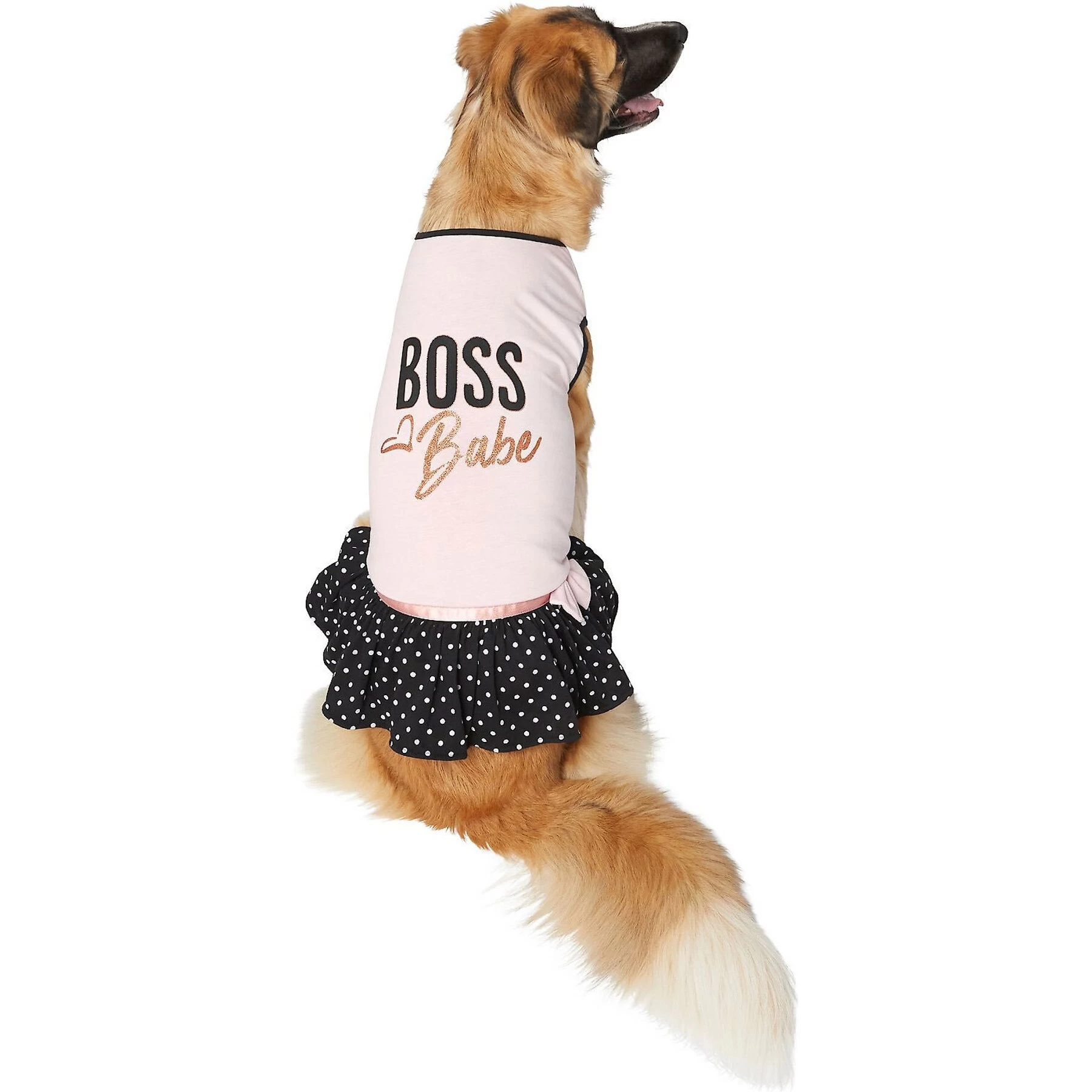 Frisco Boss Babe Dog & Cat Dress 3 Frisco Boss Babe Dog & Cat Dress - Image 3