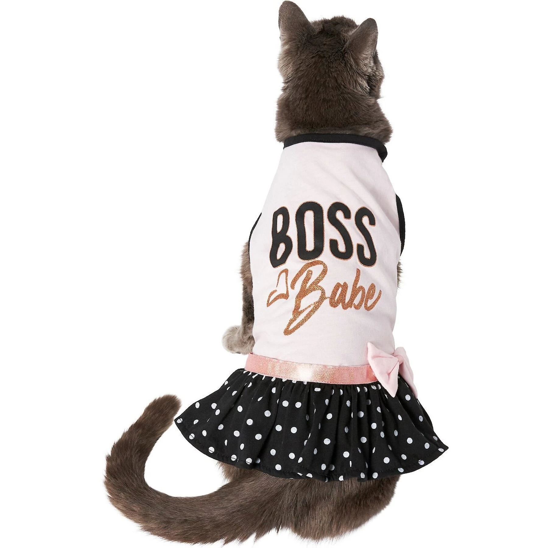 Frisco Boss Babe Dog & Cat Dress 4 Frisco Boss Babe Dog & Cat Dress - Image 4