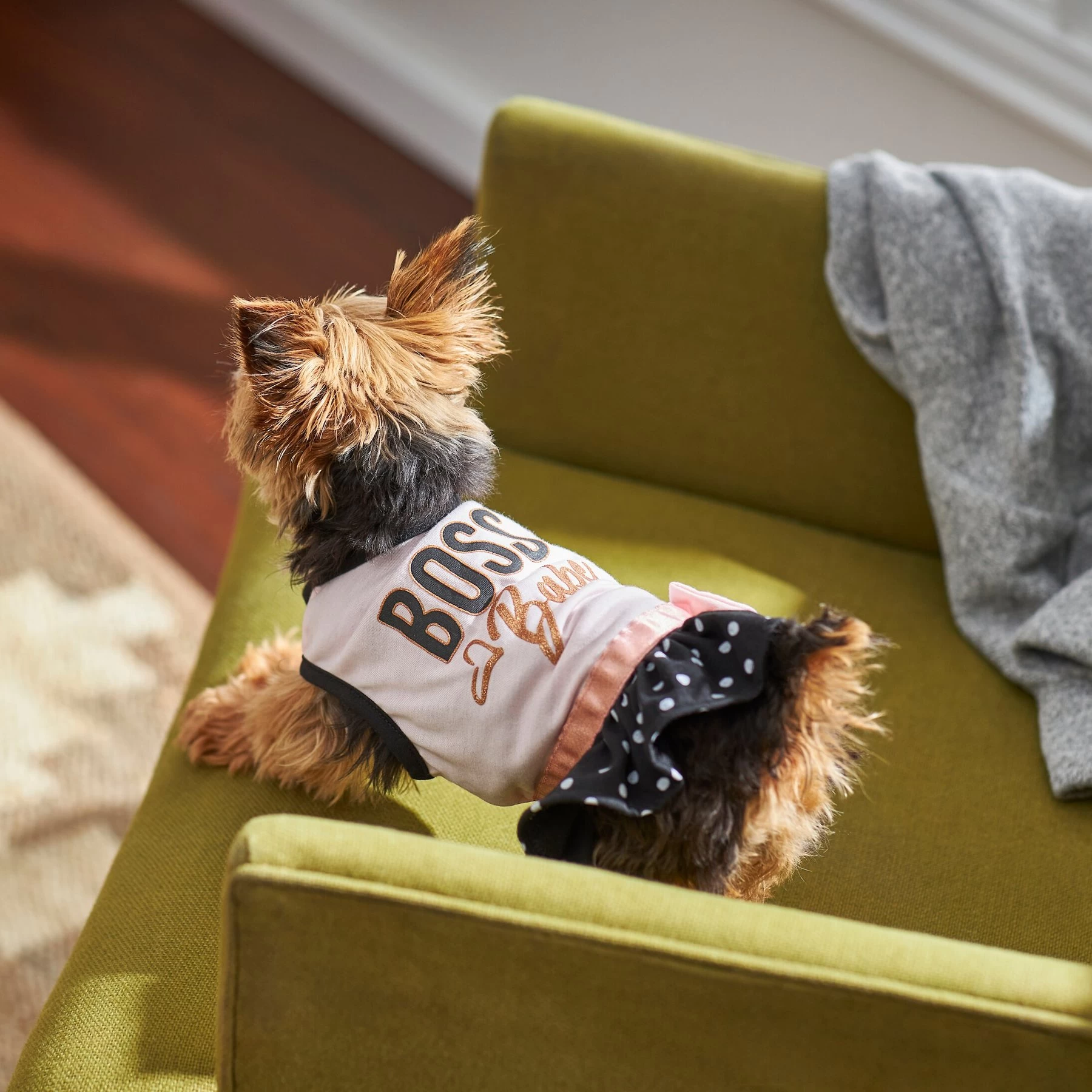 Frisco Boss Babe Dog & Cat Dress 6 Frisco Boss Babe Dog & Cat Dress - Image 6