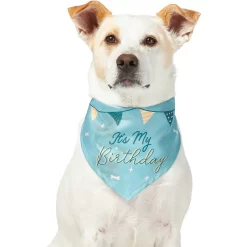 Frisco It's My Birthday Dog & Cat Bandana, Blue -Frisco Shop 248697 PT2. AC SS1800 V1633081896
