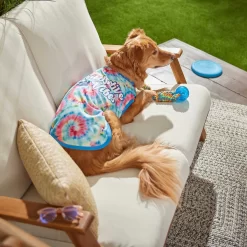 Frisco Pawsitive Vibes Tiedye Print Dog & Cat T-Shirt -Frisco Shop 248783 PT5. AC SS1800 V1637687526