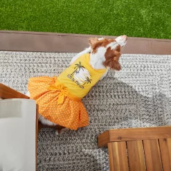 Frisco Fun In The Sun Dog & Cat Dress -Frisco Shop 249058 PT7. AC SS1800 V1614094230