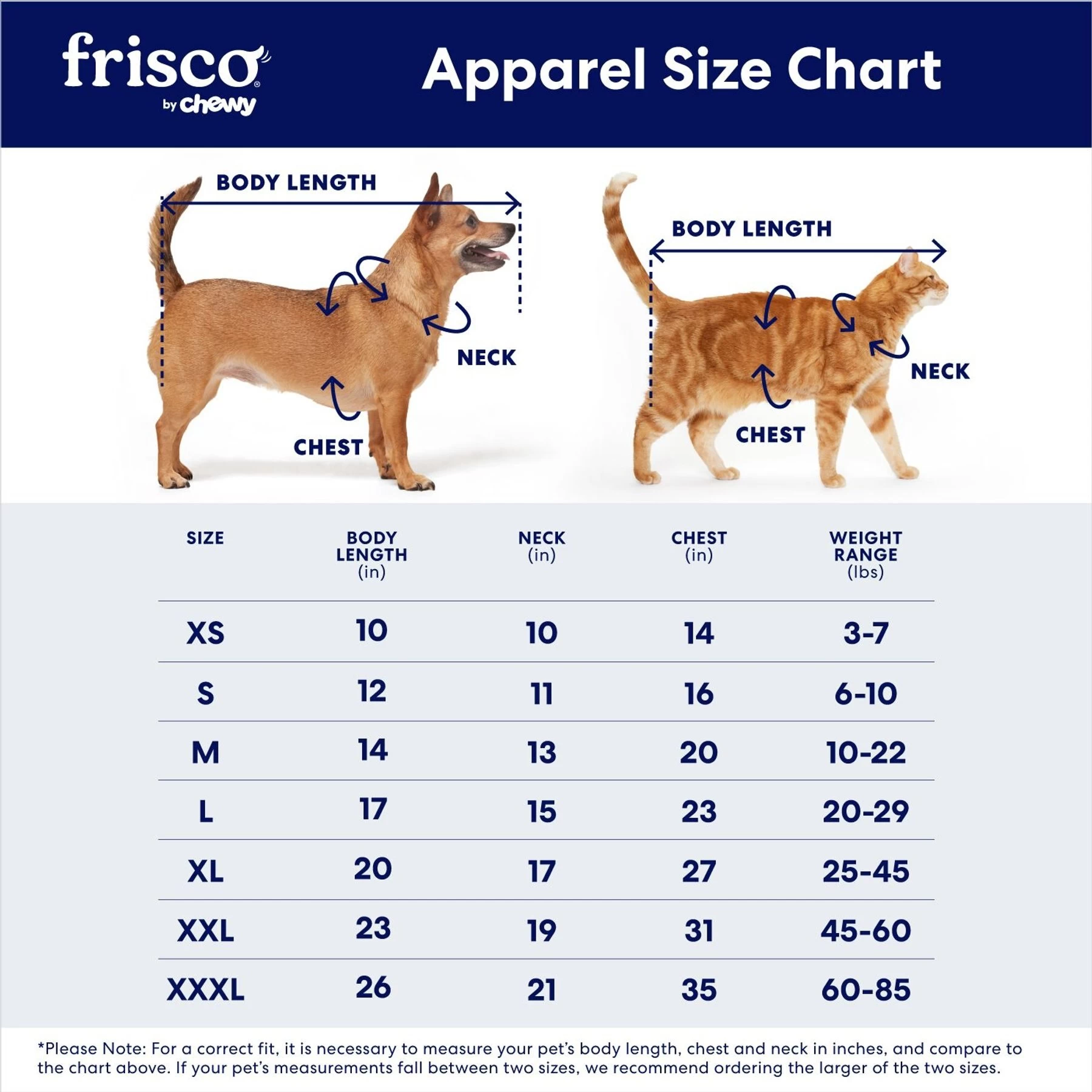 Frisco Cute & Sassy Dog & Cat Dress 2 Frisco Cute & Sassy Dog & Cat Dress - Image 2