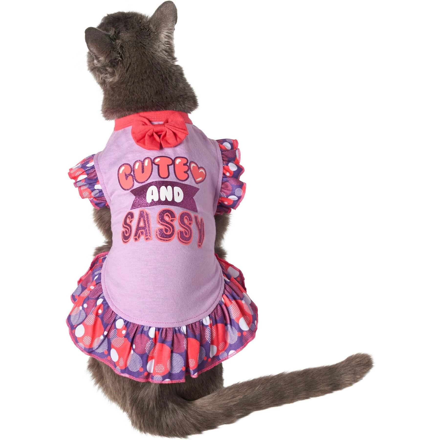 Frisco Cute & Sassy Dog & Cat Dress 3 Frisco Cute & Sassy Dog & Cat Dress - Image 3
