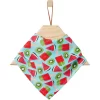 Frisco Fruity Summer Dog & Cat Bandana