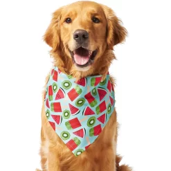Frisco Fruity Summer Dog & Cat Bandana -Frisco Shop 249204 PT2. AC SS1800 V1637644629