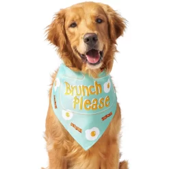 Frisco Brunch Please Dog & Cat Bandana 11 Frisco Brunch Please Dog & Cat Bandana -Frisco Shop 249207 PT3. AC SS1800 V1696597730