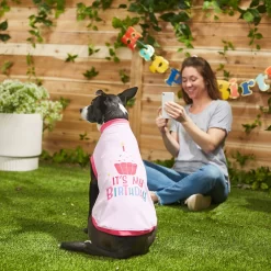 Frisco It's My Birthday Dog & Cat T-Shirt, Pink 9 Frisco It's My Birthday Dog & Cat T-Shirt, Pink -Frisco Shop 249255 PT7. AC SS1800 V1614289423
