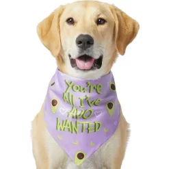 Frisco You're All I've Avo Wanted Dog & Cat Bandana -Frisco Shop 249292 PT2. AC SS1800 V1637723806