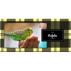 Frisco Plaid Insulated Personalized Mug, 10-oz -Frisco Shop 249359 PT2. AC SS1800 V1601678195