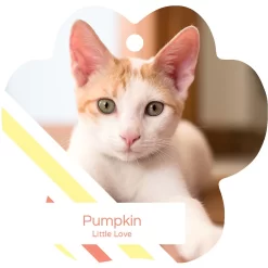 Frisco Peppermint Stripes Paw Shape Metal Personalized Dog & Cat Holiday Ornament -Frisco Shop 249371 PT2. AC SS1800 V1602634570