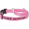 Frisco Solid Nylon Personalized Martingale Dog Collar