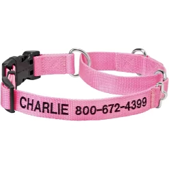 Frisco Solid Nylon Personalized Martingale Dog Collar