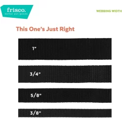 Frisco Solid Nylon Personalized Martingale Dog Collar -Frisco Shop 249561 PT4. AC SS1800 V1628876638