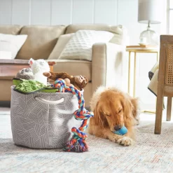 Frisco Round Collapsible Pet Toy Storage Bin, Gray Basket Weave 7 Frisco Round Collapsible Pet Toy Storage Bin, Gray Basket Weave -Frisco Shop 250585 PT3. AC SS1800 V1615572111