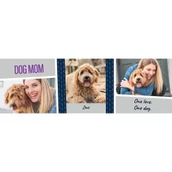 Frisco Double Walled "Dog Mom" Personalized Tumbler, 30-oz Cup -Frisco Shop 250741 PT2. AC SS1800 V1602689509