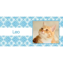 Frisco Double Walled Boho Damask Personalized Tumbler, 30-oz Cup -Frisco Shop 250749 PT2. AC SS1800 V1606680445