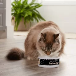 Frisco "Paws Off" Ceramic Personalized Dog & Cat Bowl -Frisco Shop 250829 PT3. AC SS1800 V1610767170