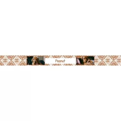 Frisco Boho Damask Ceramic Personalized Dog & Cat Bowl -Frisco Shop 250833 PT2. AC SS1800 V1602820884