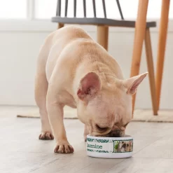 Frisco Boho Damask Ceramic Personalized Dog & Cat Bowl -Frisco Shop 250833 PT3. AC SS1800 V1610758070
